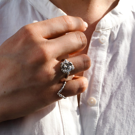The Dione Ring